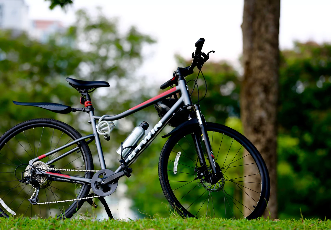 A bicycle is parked on the grass in a park, surrounded by trees and open space.