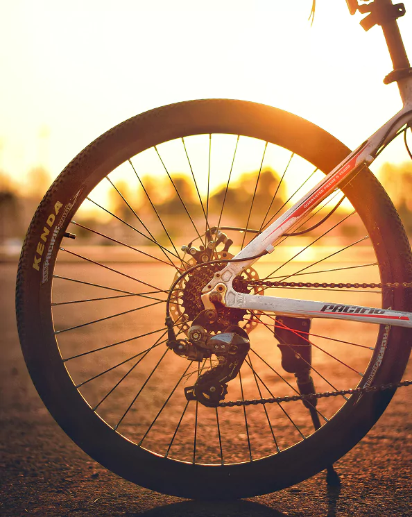 A close-up of a bicycle wheel featuring a mounted tire